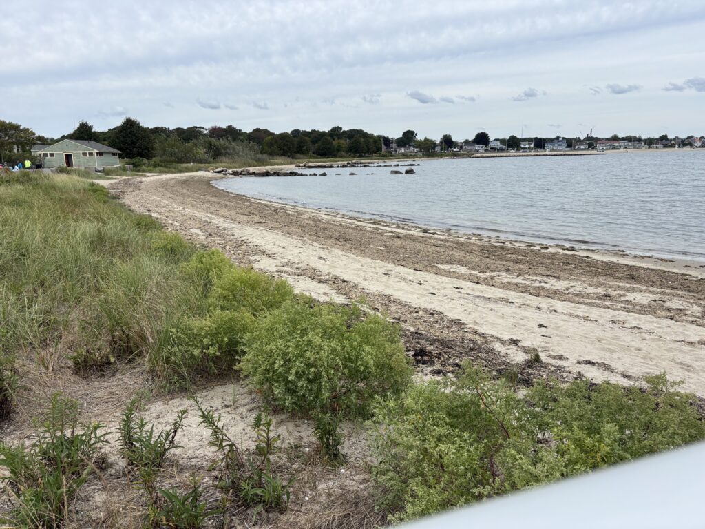 a beach with a boat in the water (MyCoast AI)