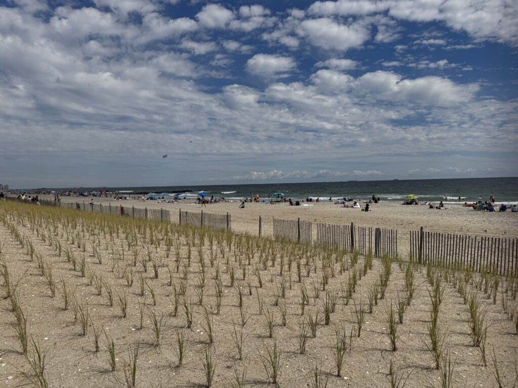 a beach with a fence and a body of water in the background (MyCoast AI)