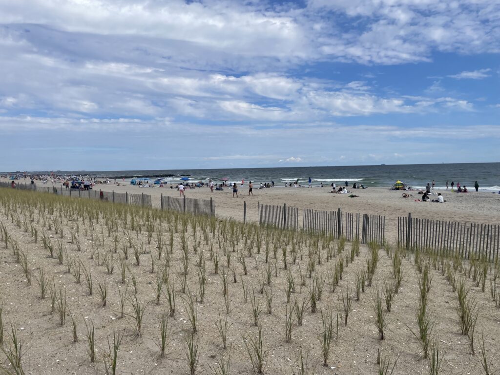 a beach with people and a fence (MyCoast AI)