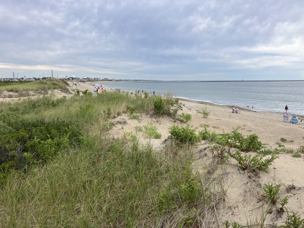 a beach with people on it (MyCoast AI)