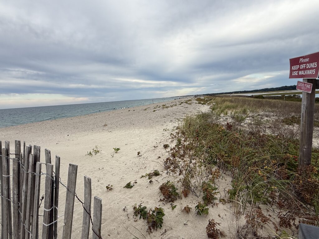 a sandy beach with a sign (MyCoast AI)
