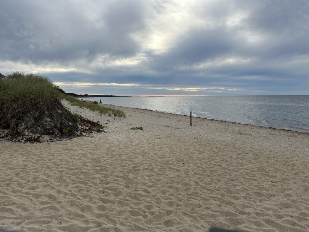a sandy beach with a body of water in the background (MyCoast AI)