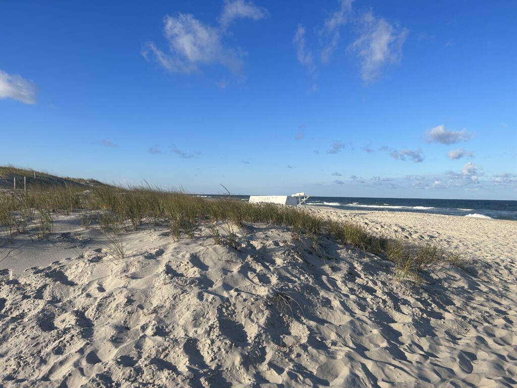 a sandy beach with grass and sand (MyCoast AI)
