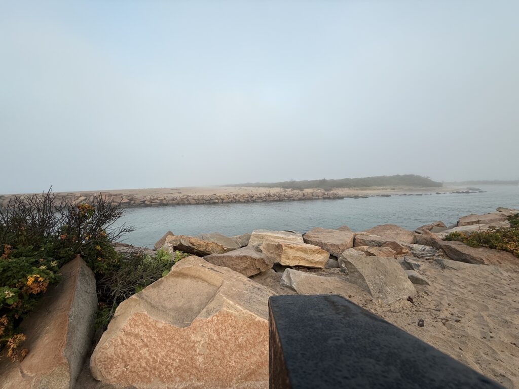 a rocky beach with a body of water in the background (MyCoast AI)