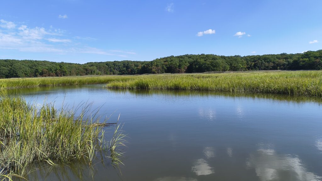 a body of water with grass and trees around it (MyCoast AI)