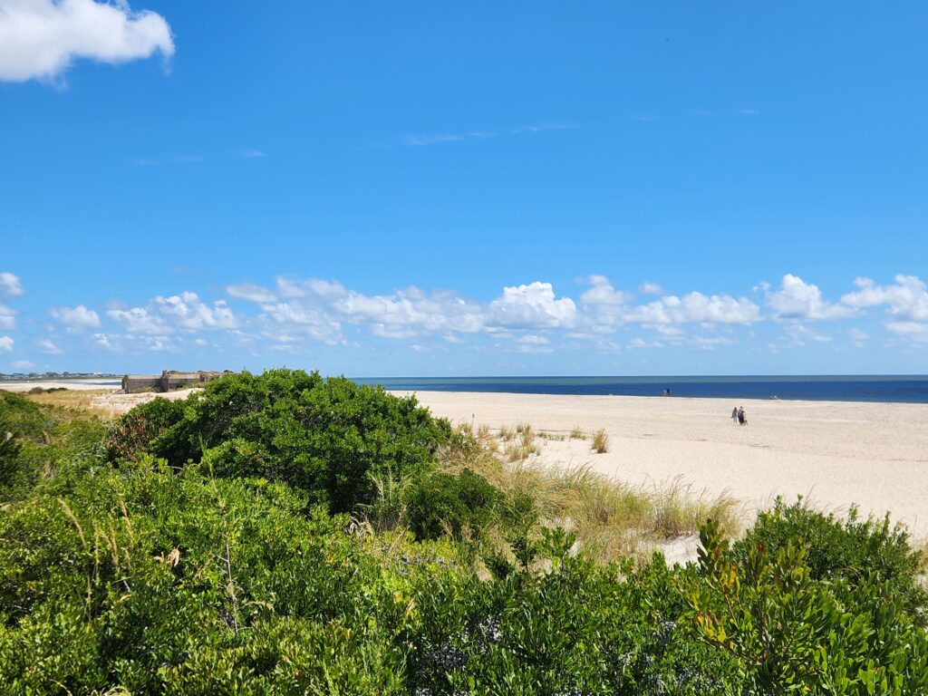 a sandy beach with bushes and trees (MyCoast AI)