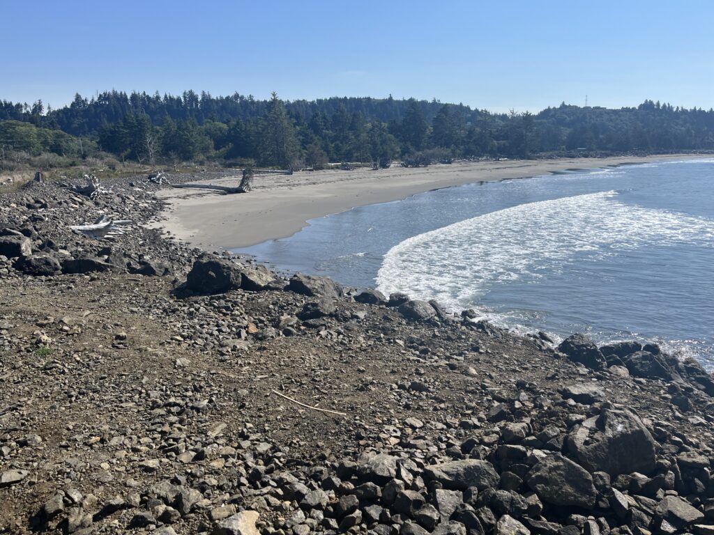 a rocky beach with a body of water and trees in the background (MyCoast AI)