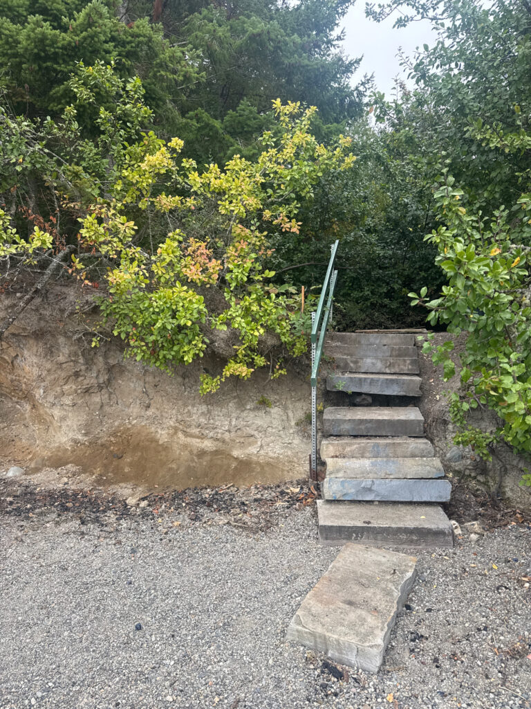 a set of stairs leading up to a rock wall (MyCoast AI)