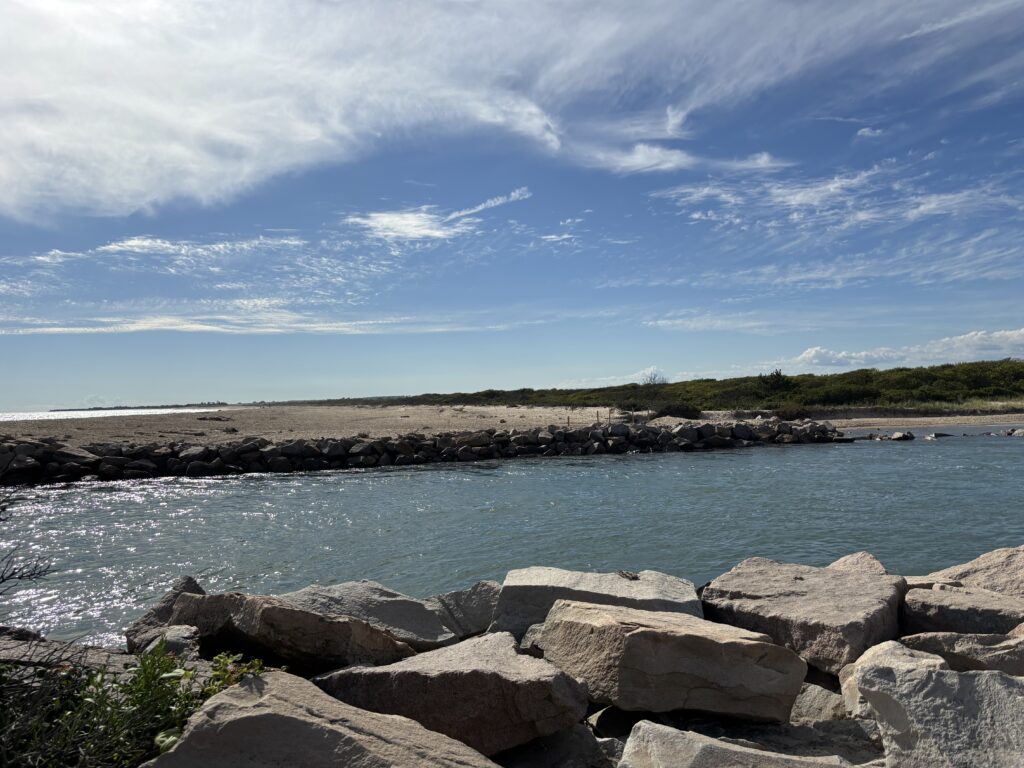 a rocky beach with a body of water in the background (MyCoast AI)