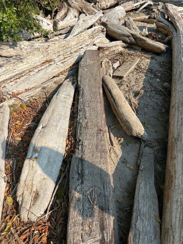 a pile of cut wood (MyCoast AI)