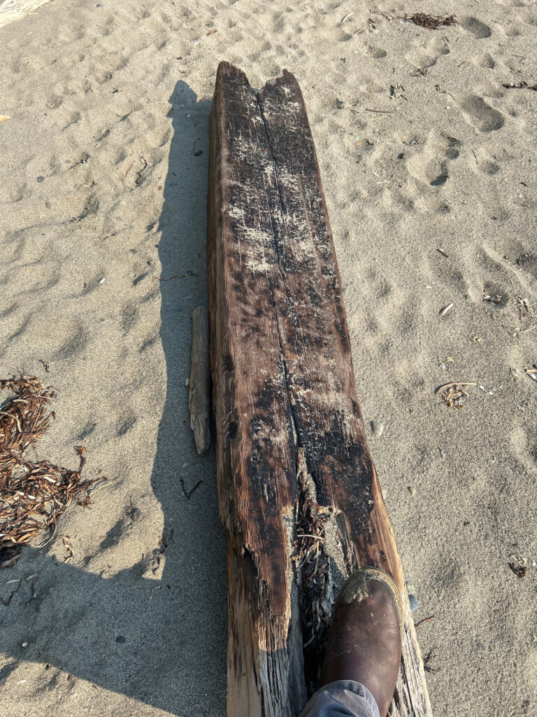 a person's foot on a wooden plank on sand (MyCoast AI)