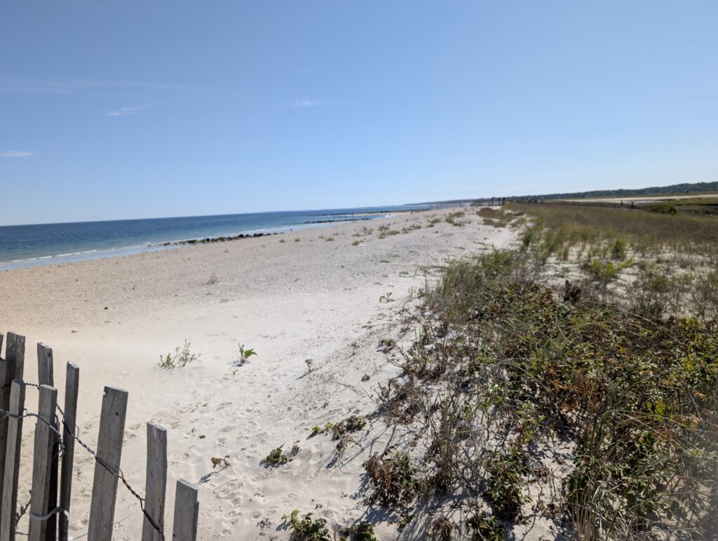 a sandy beach with bushes and a fence (MyCoast AI)