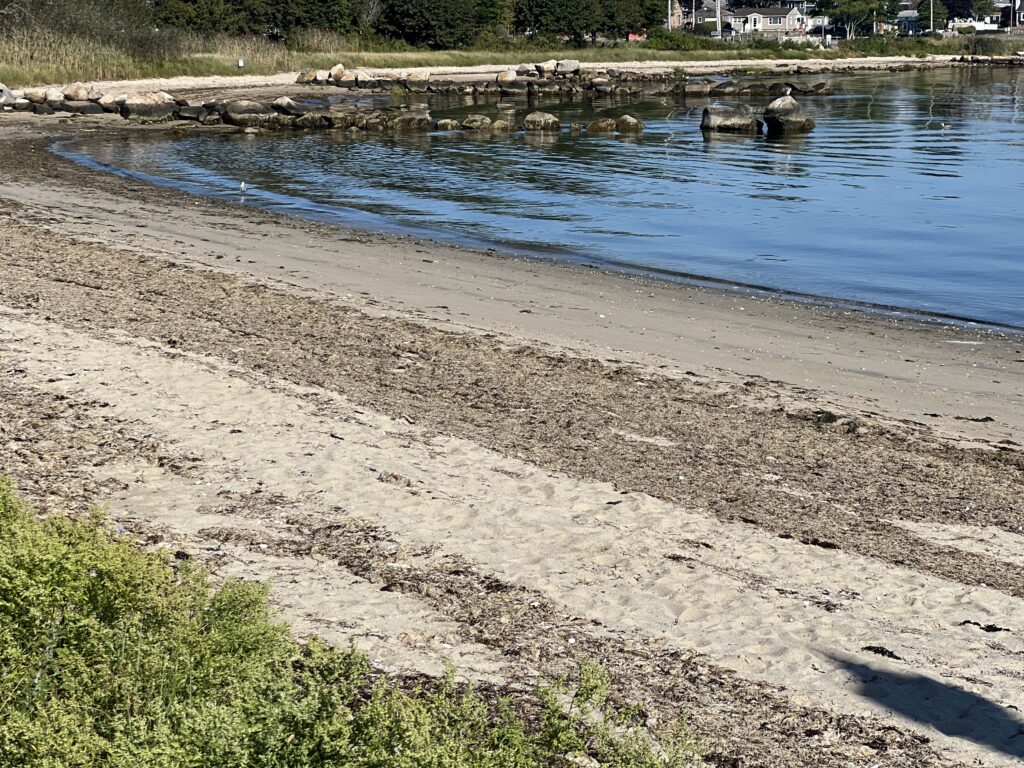 a body of water with rocks and grass around it (MyCoast AI)