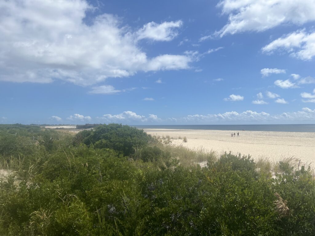 a field of green plants with a blue sky and clouds (MyCoast AI)