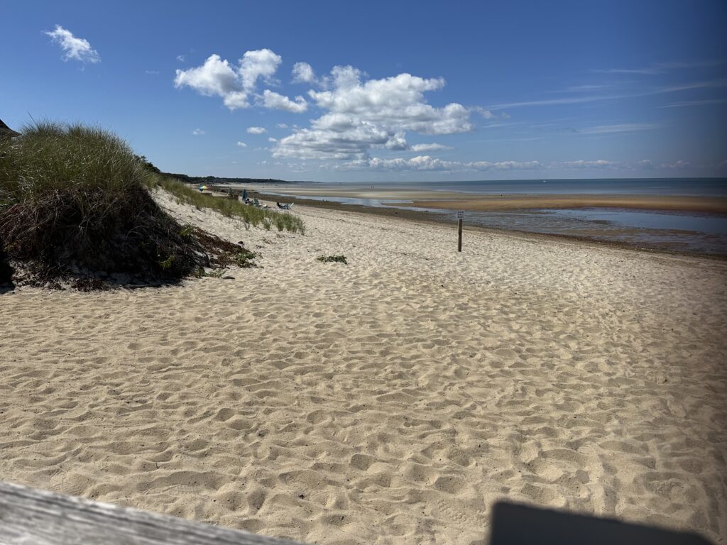 a sandy beach with bushes and a fence (MyCoast AI)