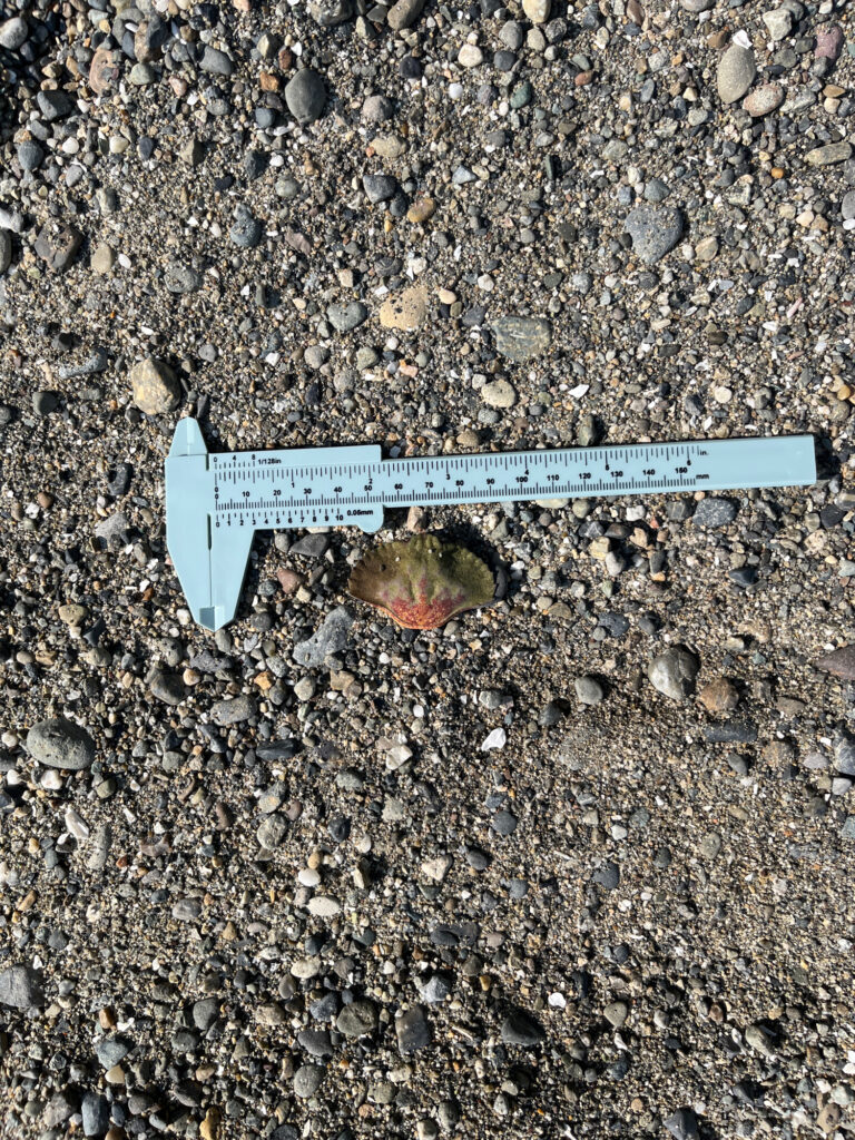 a sign on the ground (MyCoast AI)