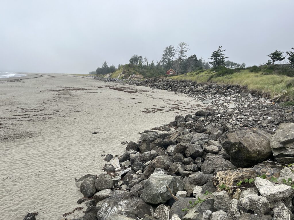 a rocky beach with trees in the background (MyCoast AI)
