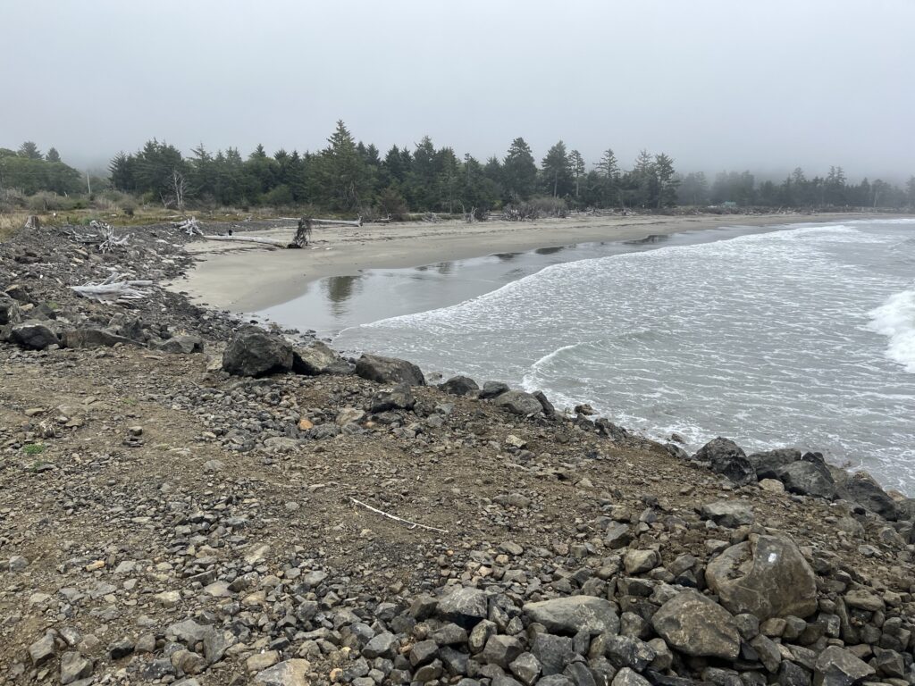 a rocky beach with trees in the background (MyCoast AI)