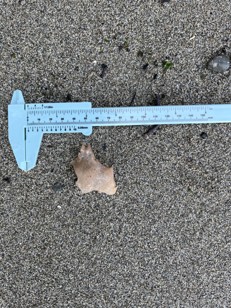 a piece of wood with a piece of wood on it (MyCoast AI)
