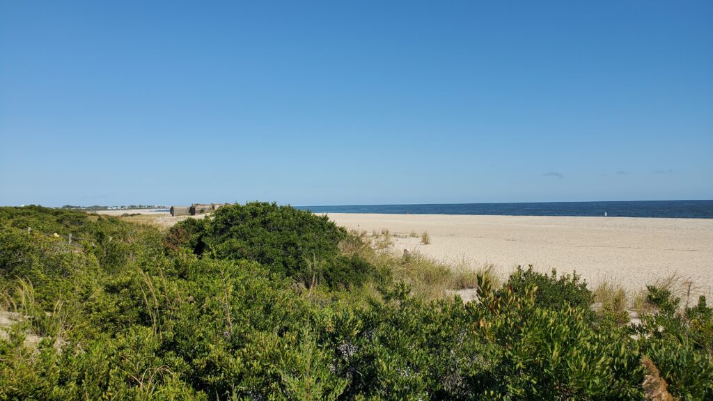 a landscape with trees and a body of water in the background (MyCoast AI)
