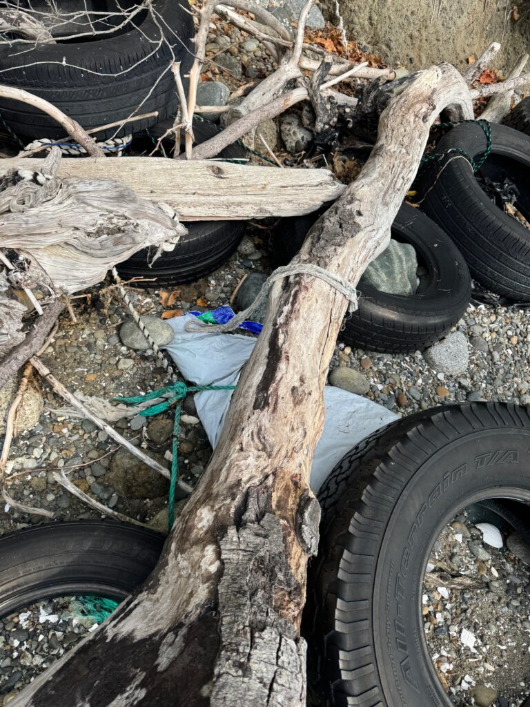 a tree with a pile of tires (MyCoast AI)