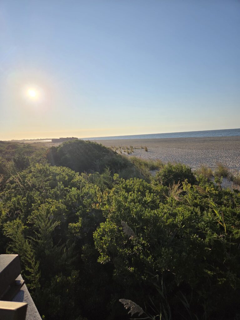 a landscape with trees and water in the background (MyCoast AI)