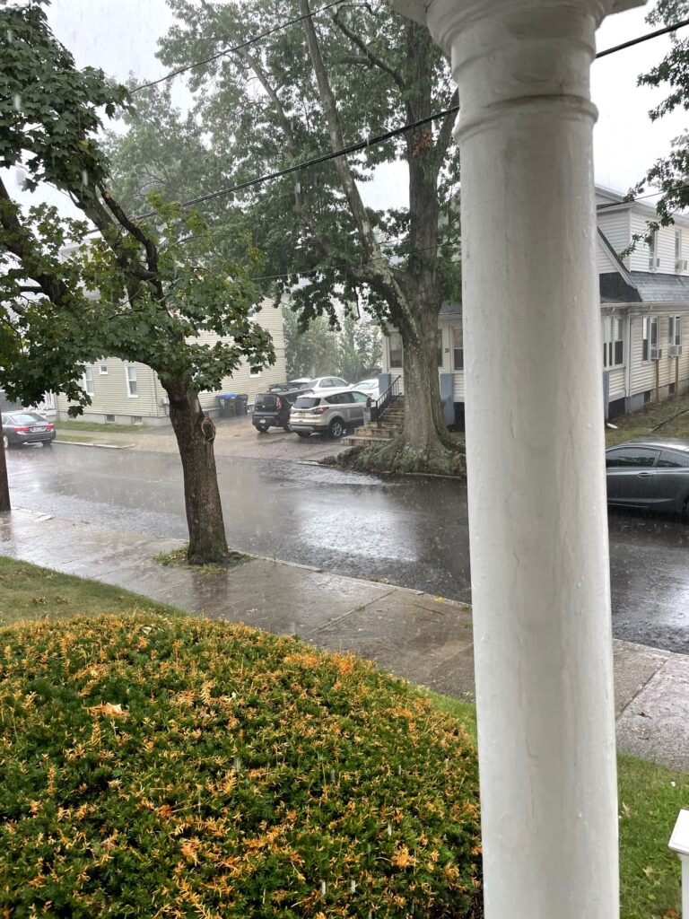 a street with trees and cars (MyCoast AI)