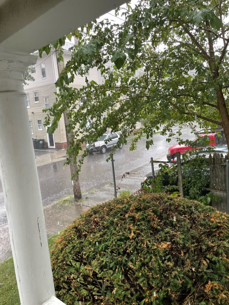 a street with cars and trees (MyCoast AI)