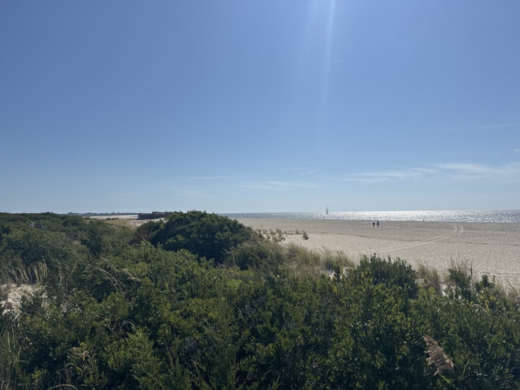 a landscape with trees and a body of water in the background (MyCoast AI)