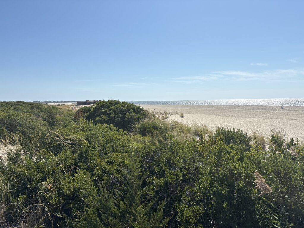 a landscape with trees and bushes (MyCoast AI)