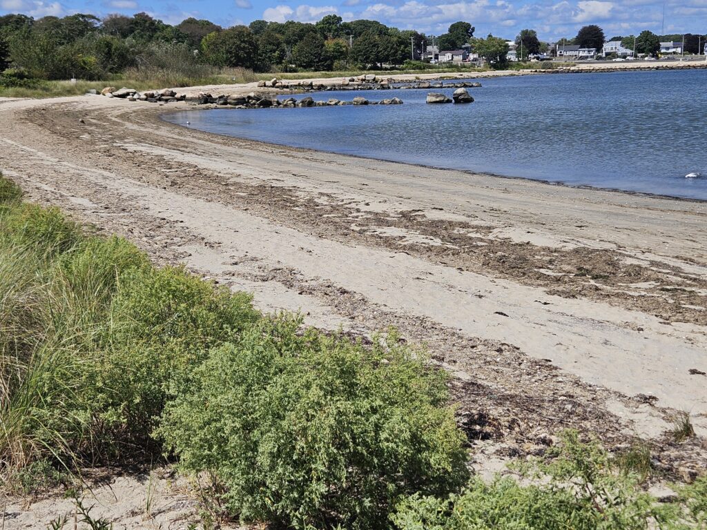 a sandy beach with boats (MyCoast AI)