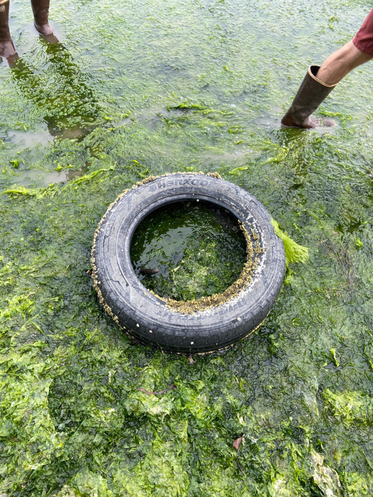 a tire in the water (MyCoast AI)