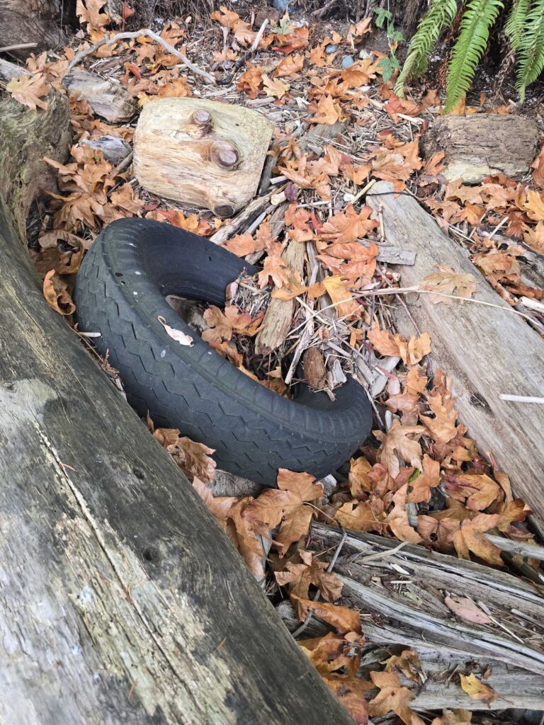 a black pipe on the ground (MyCoast AI)