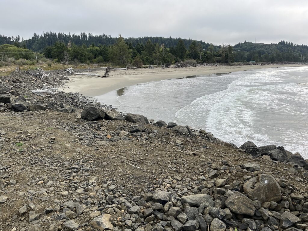 a rocky beach with trees in the background (MyCoast AI)