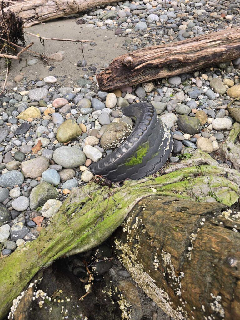 a tire on a rock (MyCoast AI)