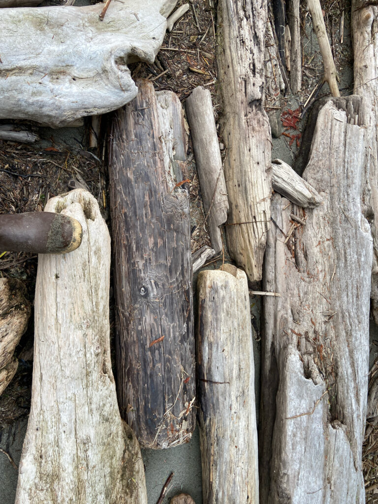 a group of wood pieces (MyCoast AI)