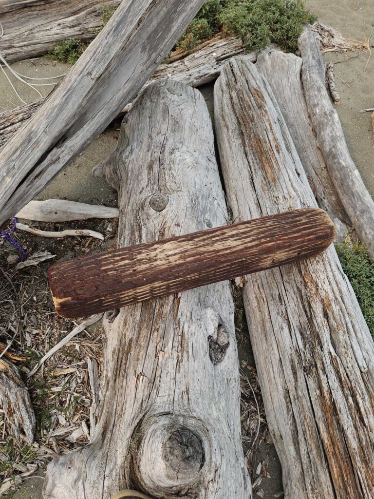 a wooden cross on a tree stump (MyCoast AI)