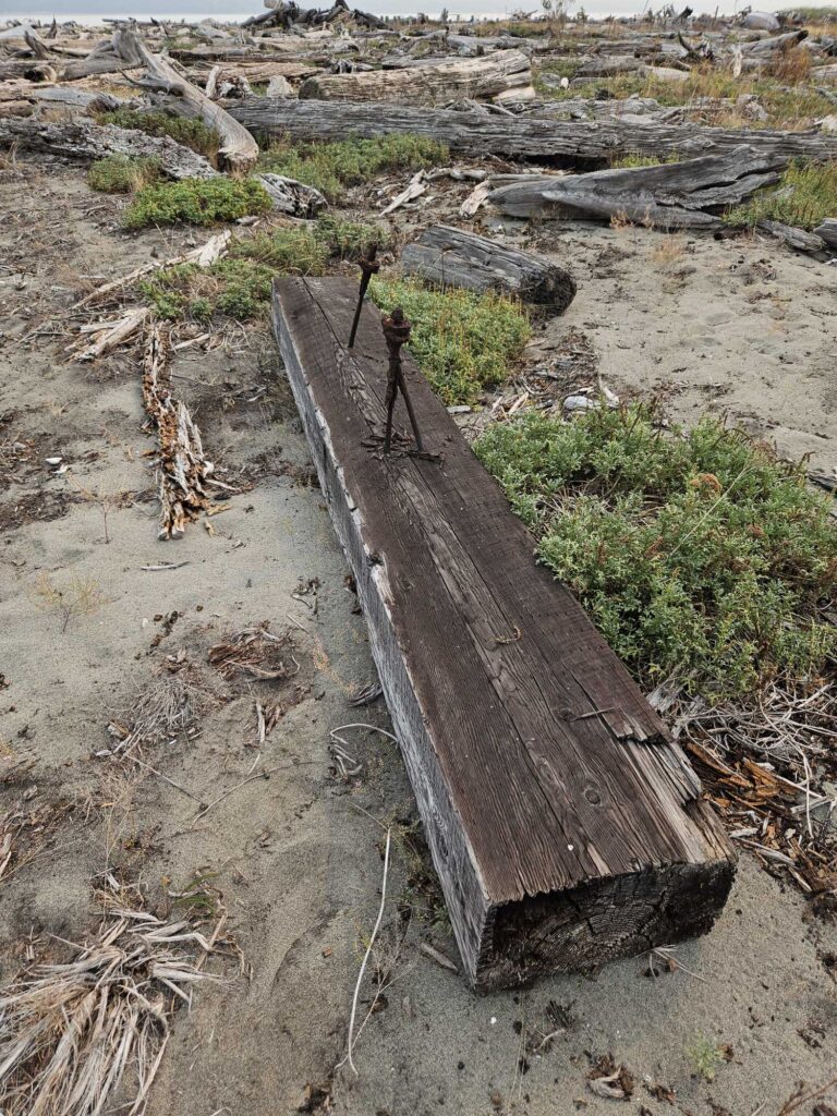 a wooden boat on the beach (MyCoast AI)