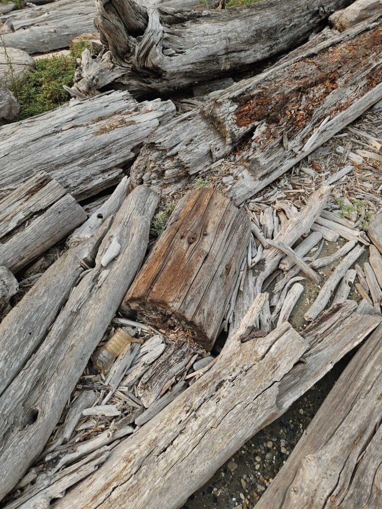 a pile of cut wood (MyCoast AI)