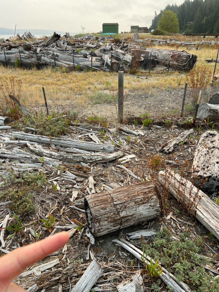 a hand holding a piece of wood (MyCoast AI)