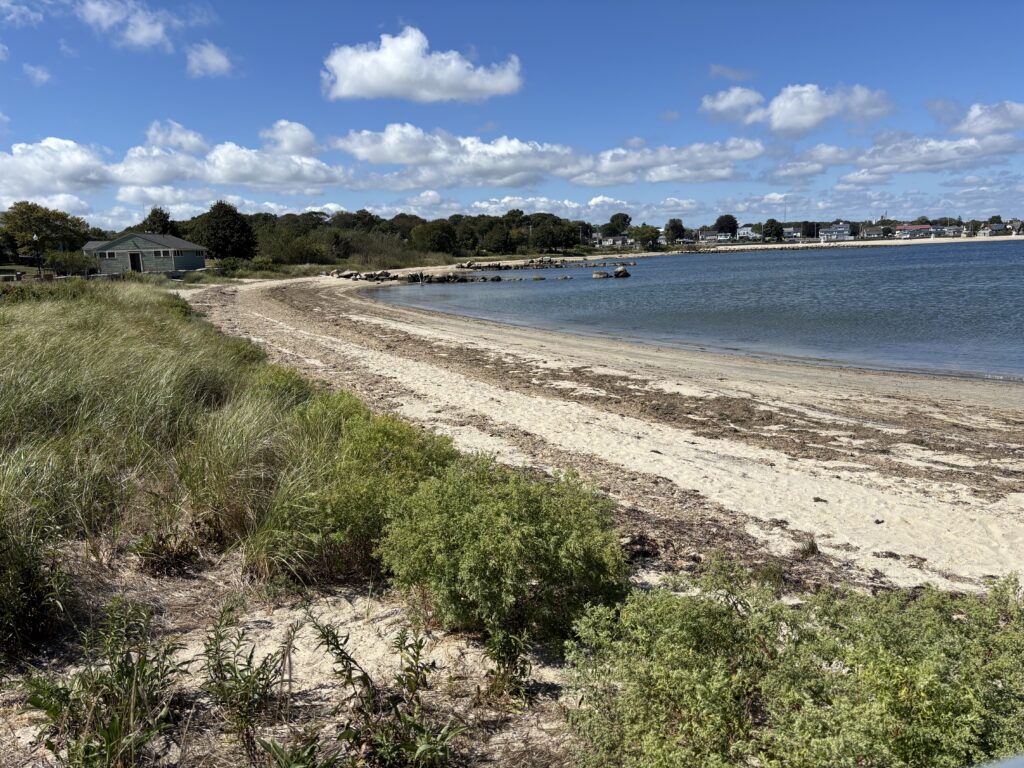 a beach with a body of water (MyCoast AI)