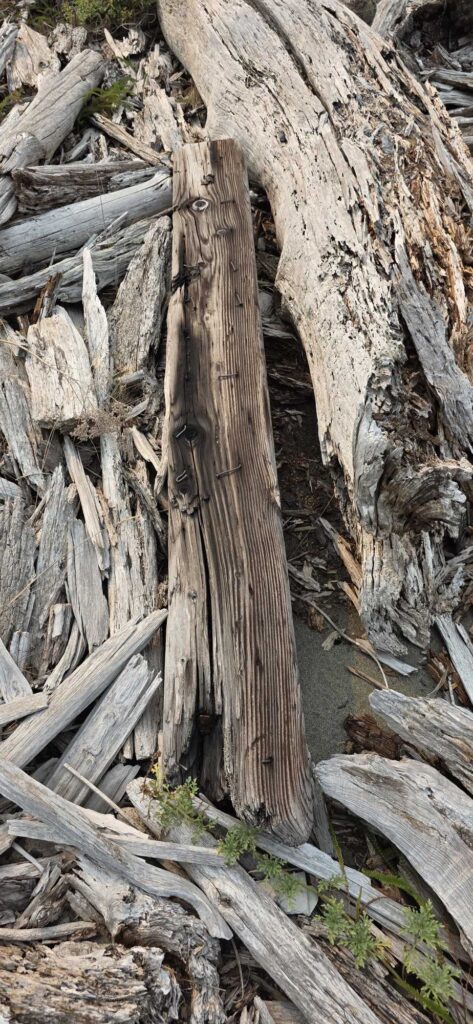 a group of logs (MyCoast AI)
