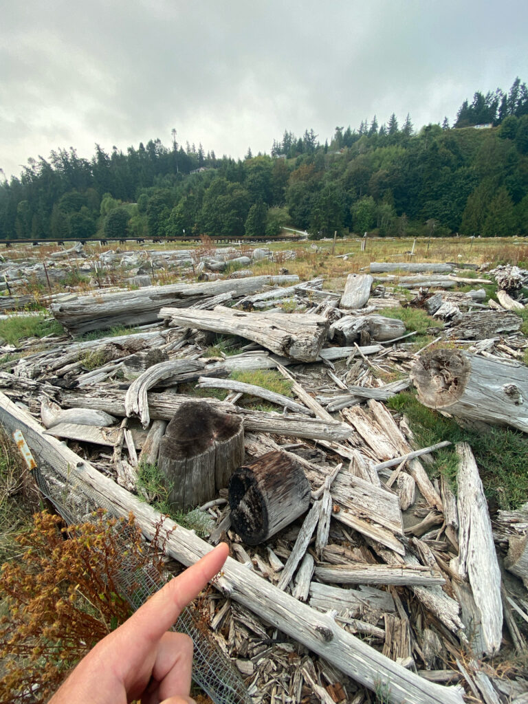 a hand holding a thumb up in front of a pile of cut logs (MyCoast AI)