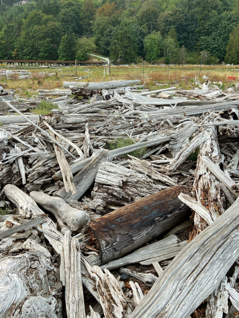 a pile of wood (MyCoast AI)