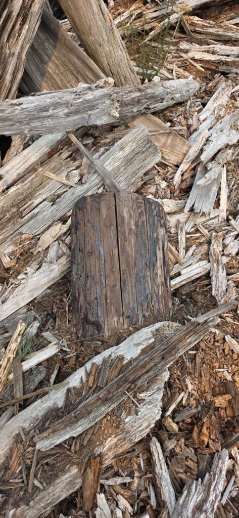 a pile of cut wood (MyCoast AI)