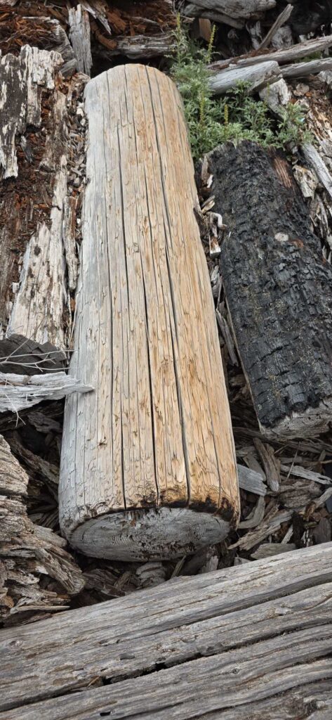 a wooden cross on a tree stump (MyCoast AI)