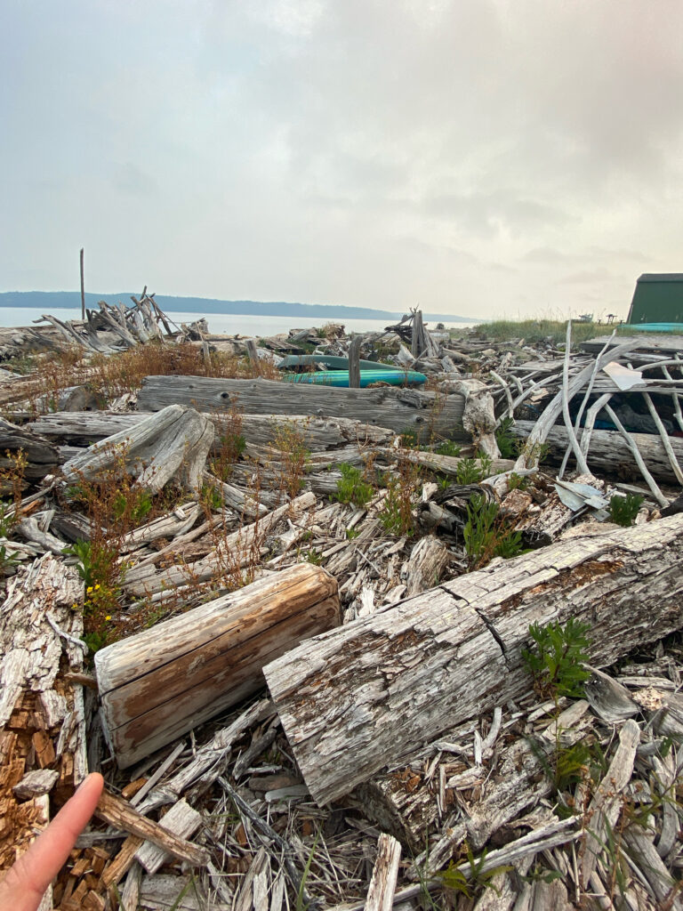a pile of wood and debris (MyCoast AI)