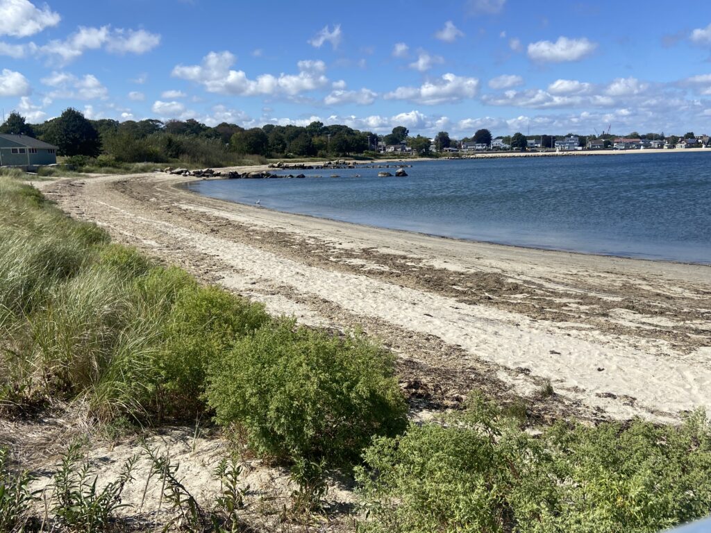 a beach with a body of water and buildings in the background (MyCoast AI)
