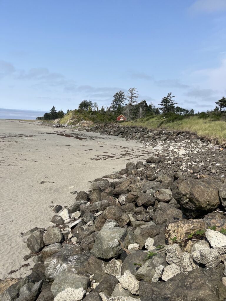 a rocky beach with trees in the background (MyCoast AI)