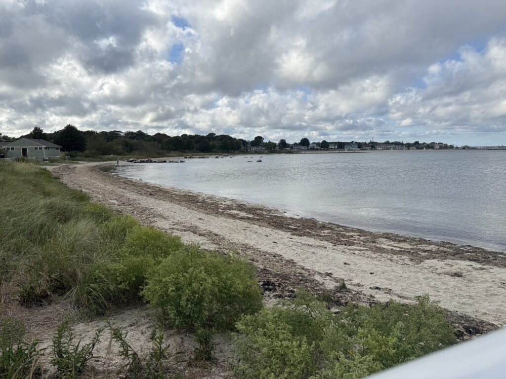 a body of water with grass and trees around it (MyCoast AI)